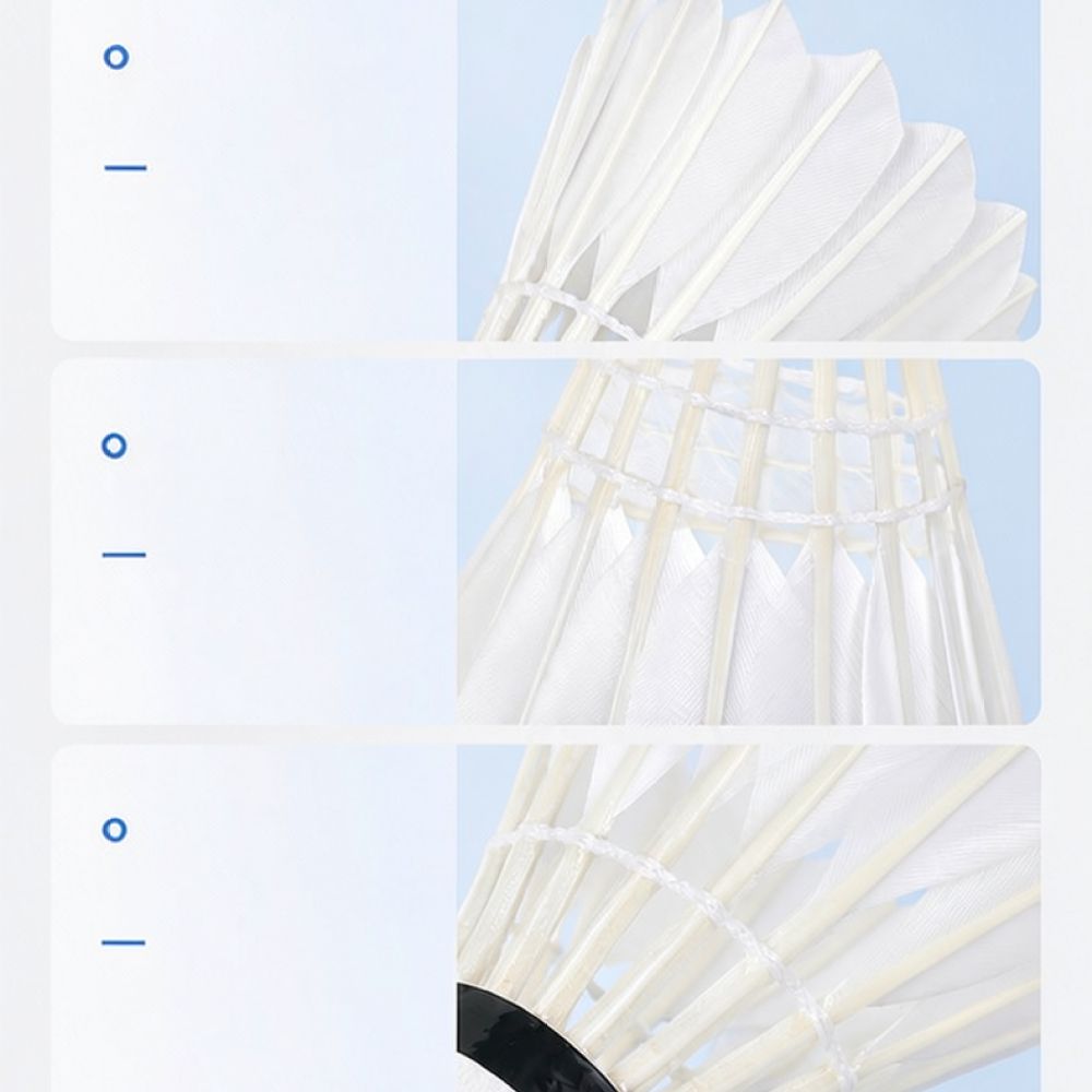 Профессиональный волан для бад – обзор и цена Feather Shuttlecock