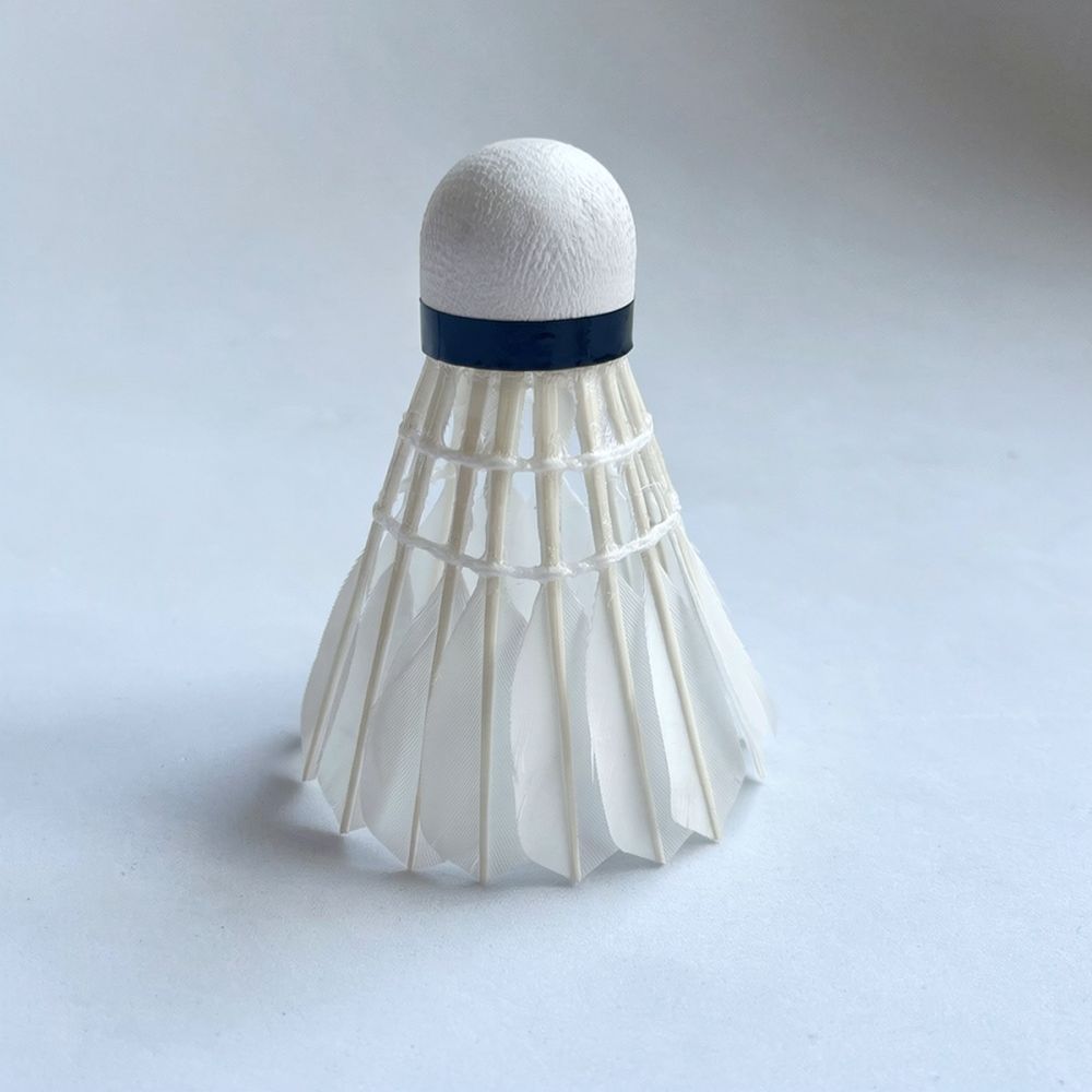 Профессиональный волан для бад – обзор и цена Feather Shuttlecock